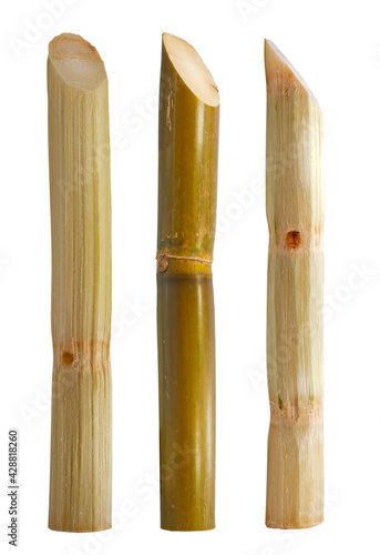 Single object of Sugar cane isolated on white background