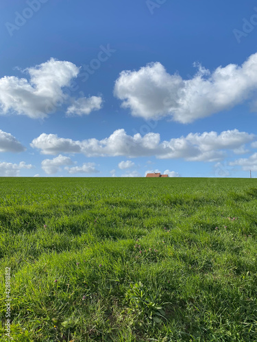 Landscape in Normandy