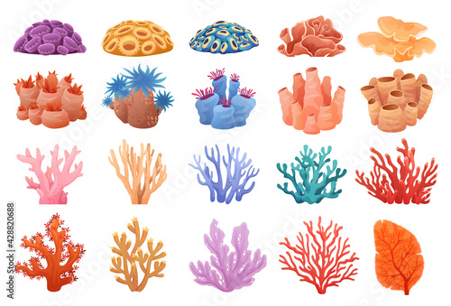 Tablou canvas Collection of colored corals of different shapes, coral reef.