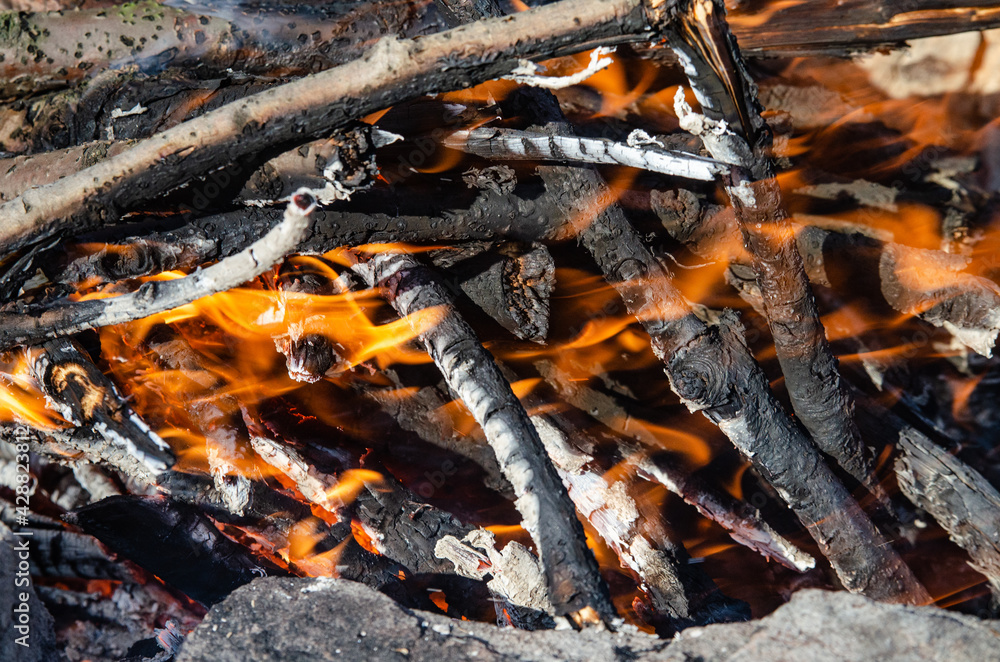 Open fire. A fire made of wooden firewood for cooking shish kebab Open fire. A fire made of wooden firewood for cooking shish kebab