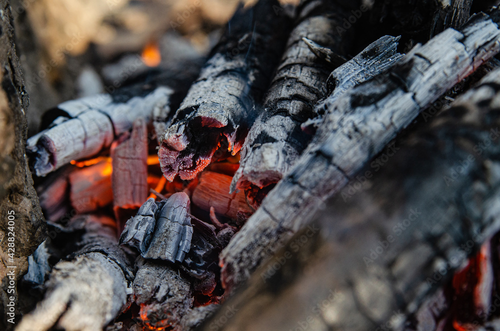 Open fire. A fire made of wooden firewood for cooking shish kebab Open fire. A fire made of wooden firewood for cooking shish kebab