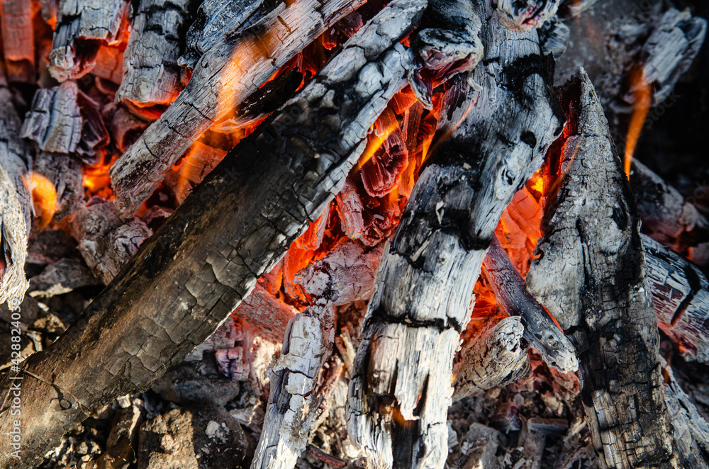 Open fire. A fire made of wooden firewood for cooking shish kebab Open fire. A fire made of wooden firewood for cooking shish kebab