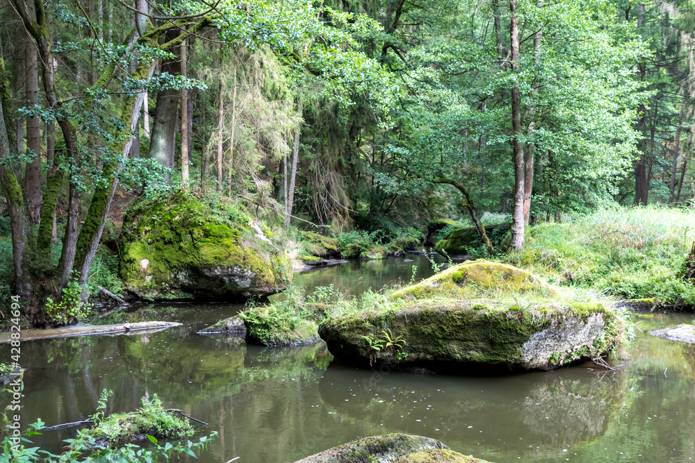 sommerlicher Flusslauf durch den Wald, Waldnaab sommerlicher Flusslauf durch den Wald, Waldnaab