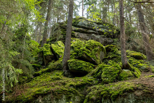 gro  e Felsen im Steinwald entlang der Waldnaab