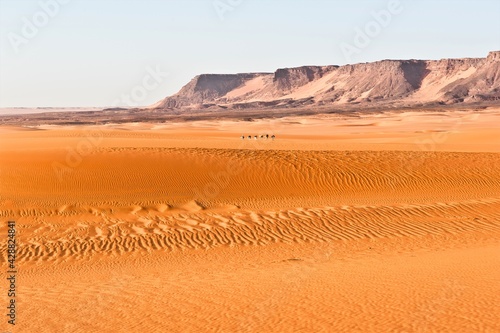 Impression von einer Saharaexpedition - Wunderschöne Saharalandschaft mit einer Karawane in der Ferne - Sand, Stille, Einsamkeit und endlose Weite