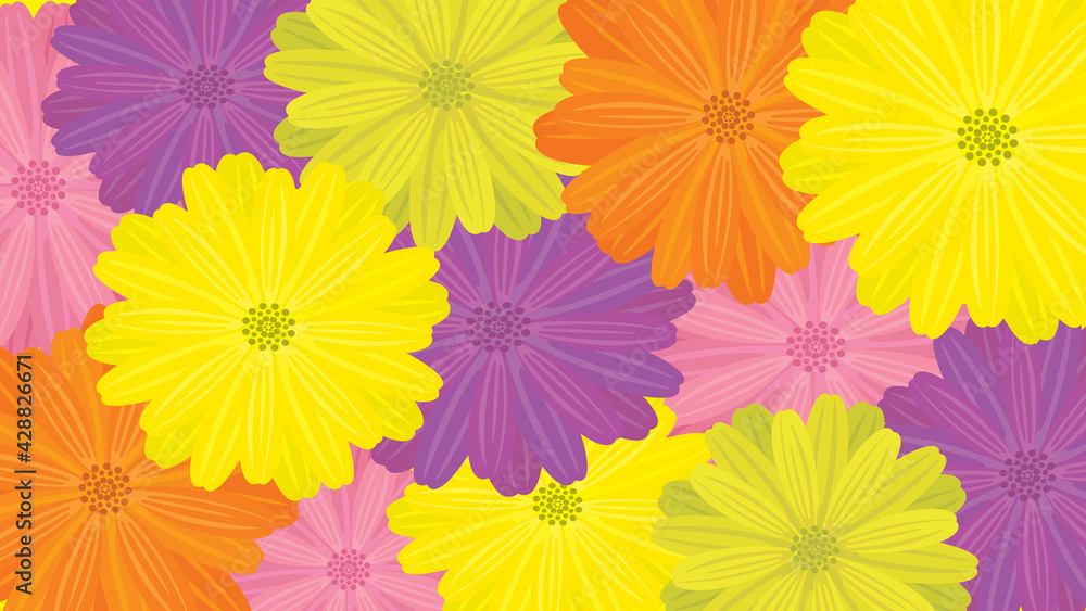 Floral background, decorative colorful daisies, celebration concept, vector illustration, flat design. 