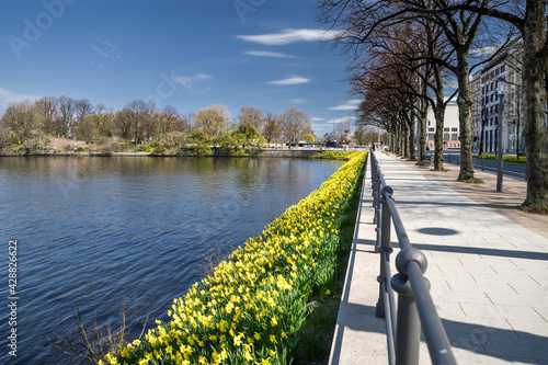 Hamburg Promenade Ballindamm Ufer Frühling sonnig photo