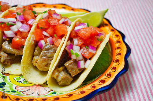 メキシコ料理のタコス ピコ・デ・ガジョを添えて コピースペースあり Mexican Tacos served with Pico de gallo, copy space available