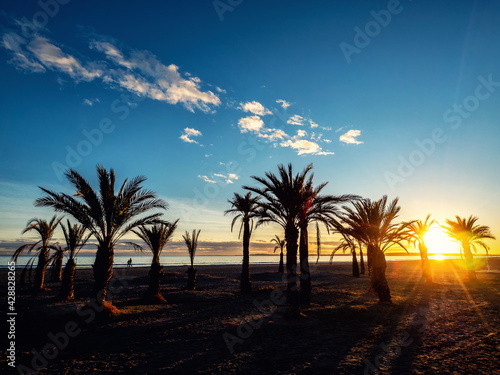 Paisaje al atardecer de una playa con palmeras en Santa Pola, Alicante