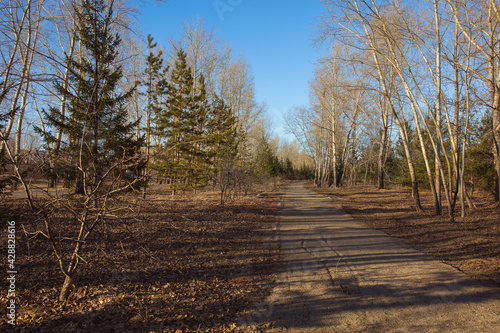 Walking in the spring city park
