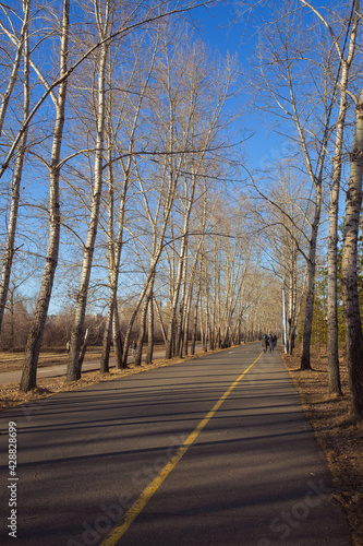 Walking in the spring city park