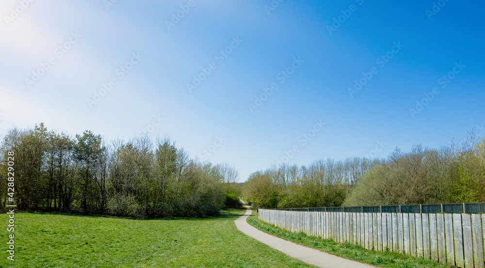Fototapeta premium Green grass field and pathway with Sunlight,Landscape Peaceful nature with wild trees forest for family activity,picnic,running,walking and cycling,Enviroment Public park on sunny day Spring or Summer