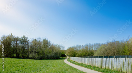 Green grass field and pathway with Sunlight Landscape Peaceful nature with wild trees forest for family activity picnic running walking and cycling Enviroment Public park on sunny day Spring or Summer
