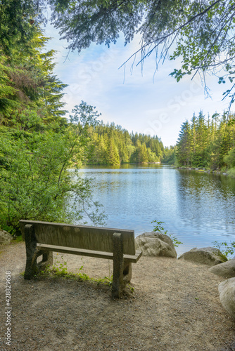 Fragment of the Rice Lake trail in Vancouver, Canada. © karamysh