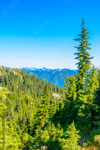 Fragment of Mount Seymour trail in Vancouver, Canada.