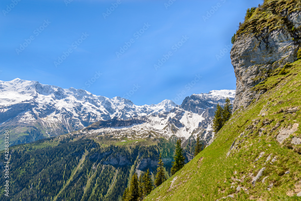 Obraz premium The Swiss Alps at Murren, Switzerland. Jungfrau Region. The valley of Lauterbrunnen from Interlaken.