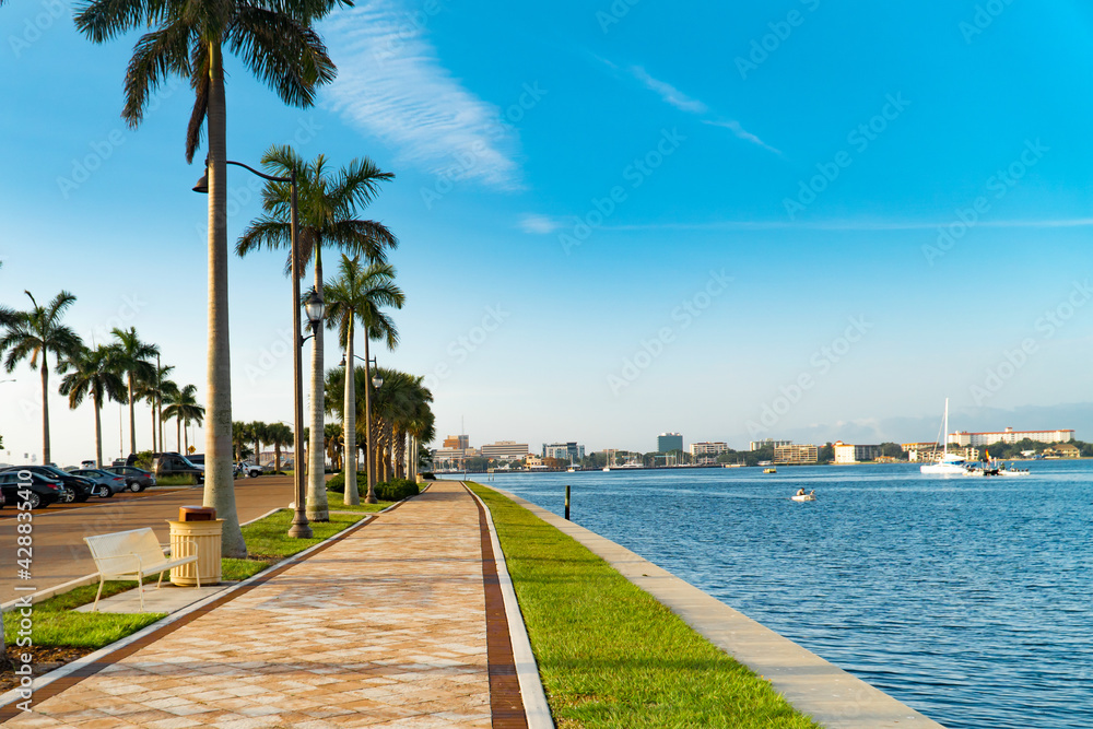 Palmetto trees line the walkway next to the Manatee River Palmetto trees line the walkway next to the Manatee River