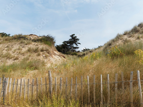 Île de Ré dans le Golfe de Gascogne. Côte sauvage et dunes le long du littoral Littoral Nord-Ouest photo