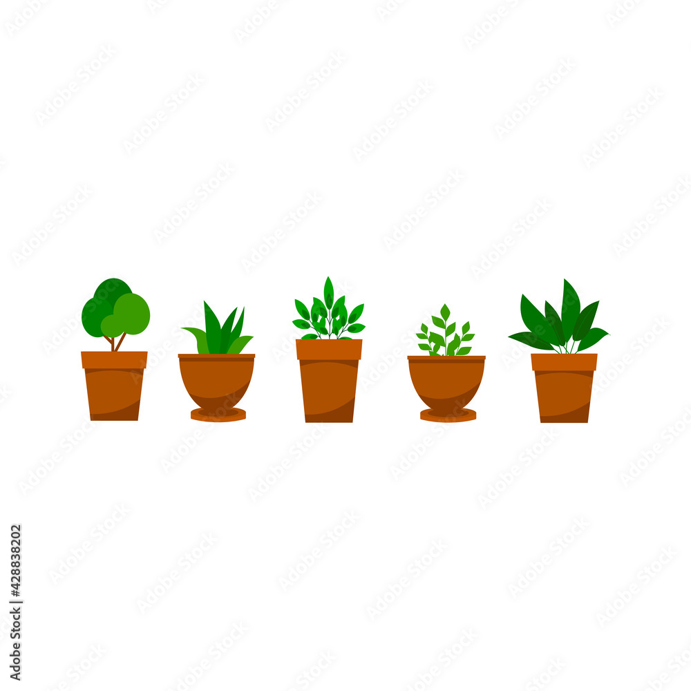 Young indoor flowers with green leaves. Home plants in a pot, home garden. Vector illustration on a white background.cartoon Young indoor flowers with green leaves. Home plants in a pot, home garden. Vector illustration on a white background.cartoon