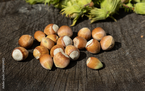 hazelnuts in peels and shells on a wooden log. Harvest concept