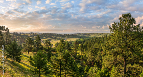 Fototapeta Naklejka Na Ścianę i Meble -  Scenic Drive in Custer State Park in South Dakota