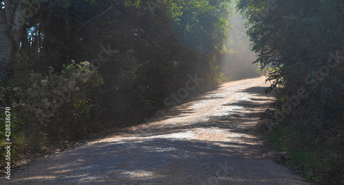 Dirt road in a farm area in southern Brazil