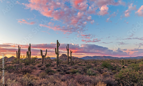 Colorful Arizona Desert Sunset Landscape Near Phoenix