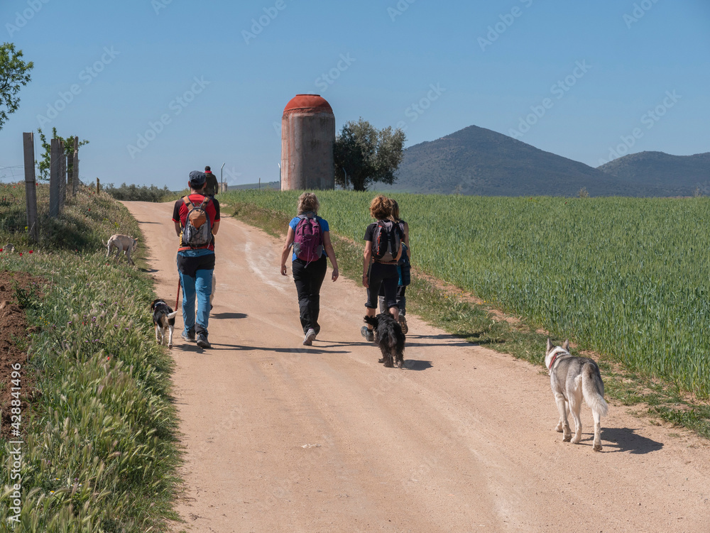 Fototapeta premium WOMEN WITH HIKING CLOTHES AND BACKPACKS, GIVING A WALK THROUGH THE COUNTRYSIDE OF TOLEDO, SPAIN