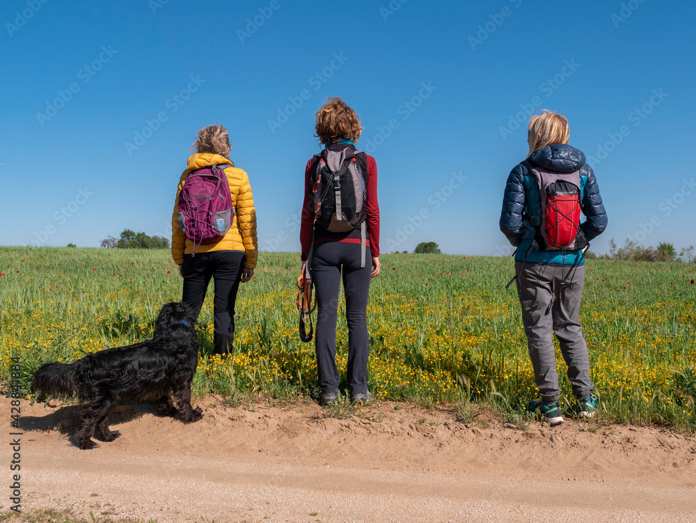 GROUP OF FRIENDS WITH HIKING CLOTHES AND BACKPACKS, POSING ON THE BACK IN THE GREEN FIELDS OF TOLEDO, SPAIN