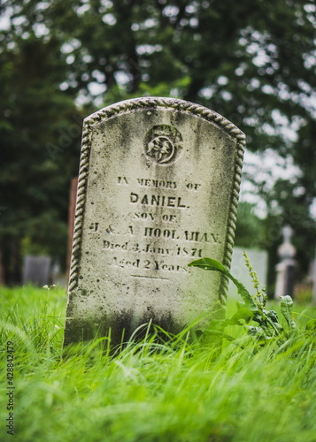 graves in the cemetery