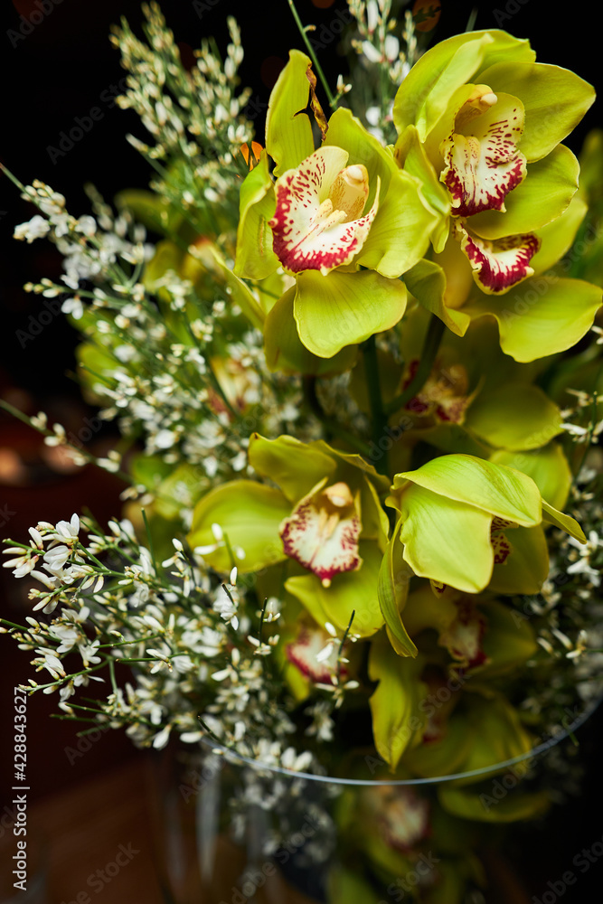 Obraz premium Festive bouquet with green orchids and gypsophila.