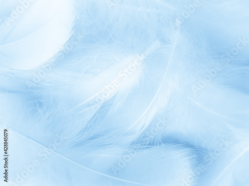 Beautiful abstract blue feathers on white background, white feather texture and blue background, feather wallpaper, blue texture banners, love theme, valentines day, light blue texture, white gradient