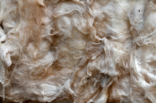 Background, texture of old glass wool.