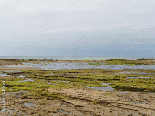 Île de Ré dans le Golfe de Gascogne. Pêche aux moules à marée basse le long des plages et marais et de la pointe rocheuse Saint-Clément-des-Baleines