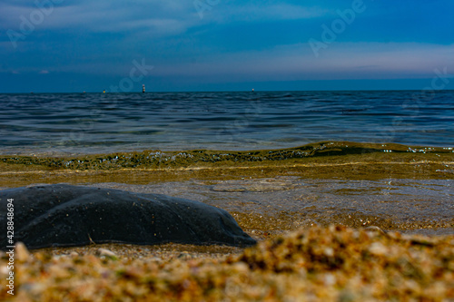 beach and rocks