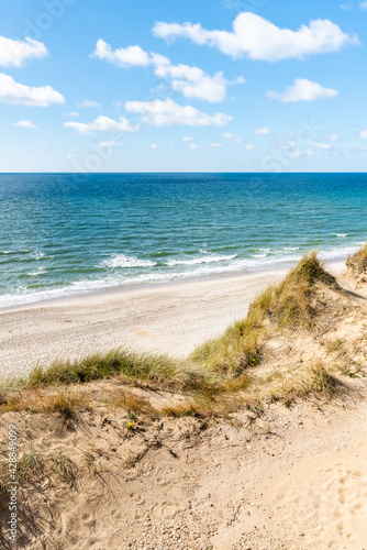 Fototapeta Naklejka Na Ścianę i Meble -  Sand dunes near the Rotes Kliff (red cliff), Kamepen, Sylt, Schleswig-Holstein, Germany