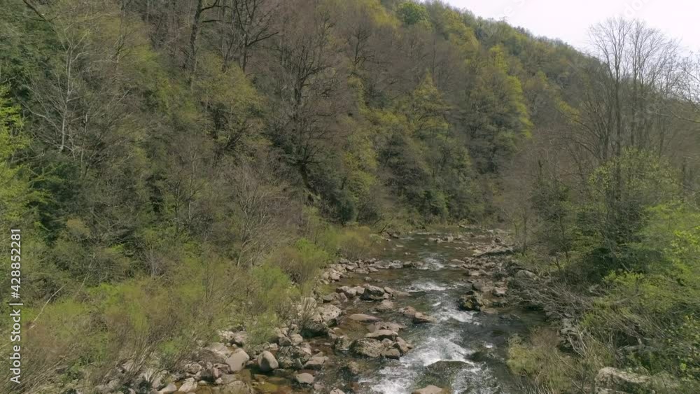 Majestic forest river stream with rocks in fly forward drone view Majestic forest river stream with rocks in fly forward drone view