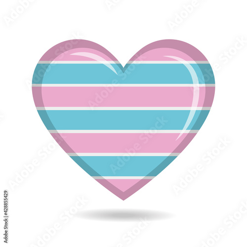 Transsexual pride flag in heart shape vector illustration
