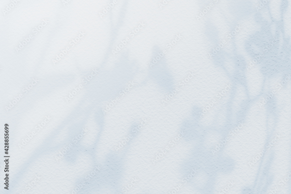 Abstract flower shadows on light white blue bright color wall texture background. Abstract flower shadows on light white blue bright color wall texture background.