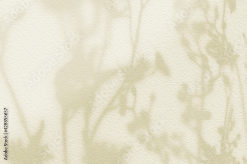Flower shadows on light yellow pastel color wall.