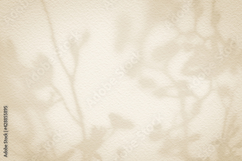 Flower shadows on light brown and cream color wall.