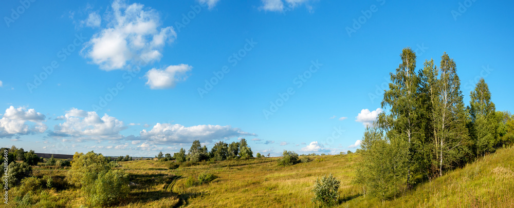 Summer sunny scene with green hillds and birch trees at sunset