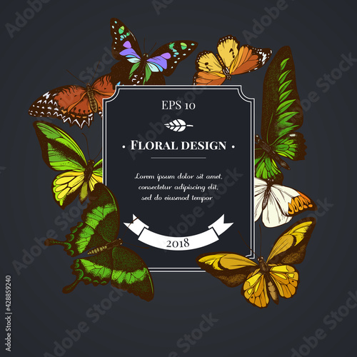 Dark badge design with red lacewing, wallace s golden birdwing, purple spotted swallowtail, great orange-tip, emerald swallowtail, plain tiger, rajah brooke s birdwing, swallowtail butterfly