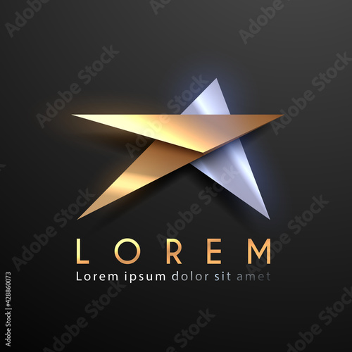 Gold and silver star shape logo template