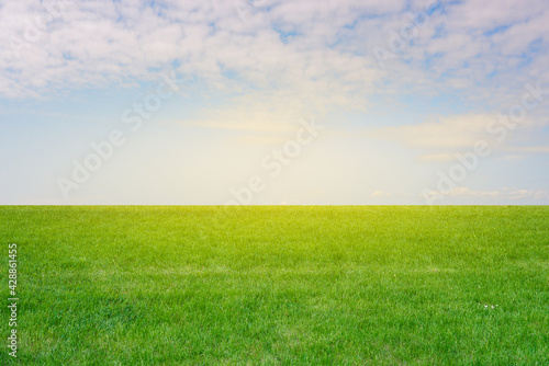 Green grass and blue sky with sunbeams. Empty field with grass in summer. Colorful green meadow. Nature background