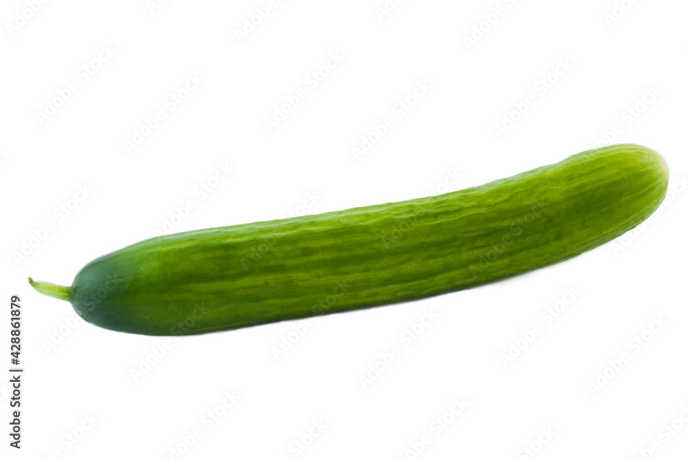 A long green cucumber on a white background. Isolate. A long green cucumber on a white background. Isolate.