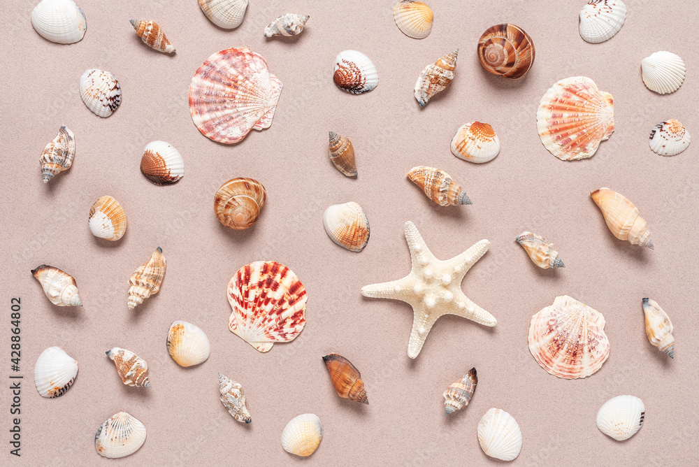 Collection of various seashells and starfish on beige paper background. Top view, flat lay. Collection of various seashells and starfish on beige paper background. Top view, flat lay.