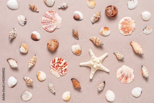 Collection of various seashells and starfish on beige paper background. Top view  flat lay.