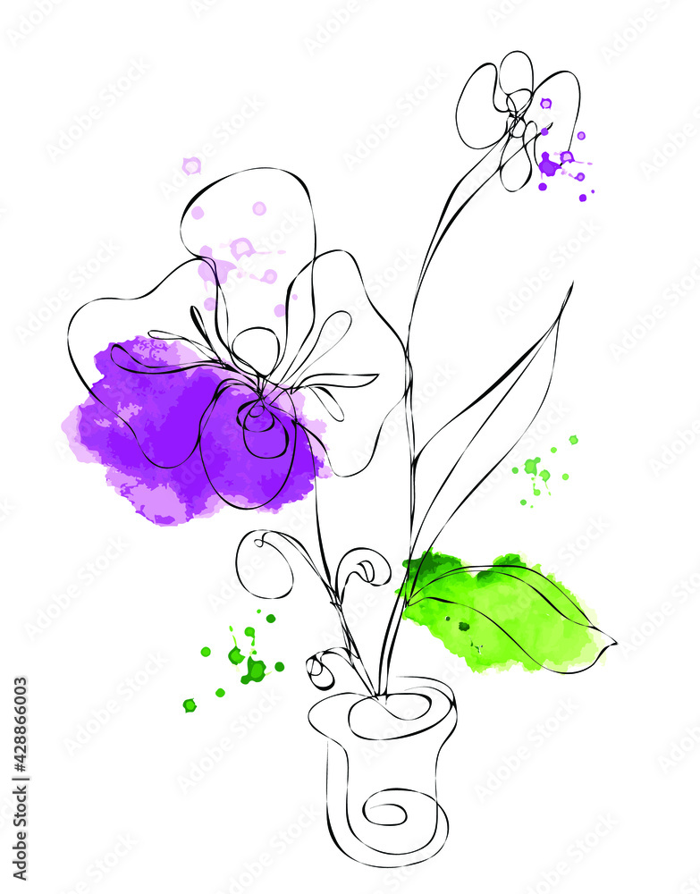 Orchids. Drawings flowers with linear art on a white background and watercolor design elements. Vector hand illustration. One line Orchids. Drawings flowers with linear art on a white background and watercolor design elements. Vector hand illustration. One line