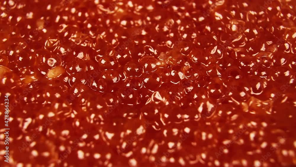 Red caviar close up background rotation Red caviar close up background rotation